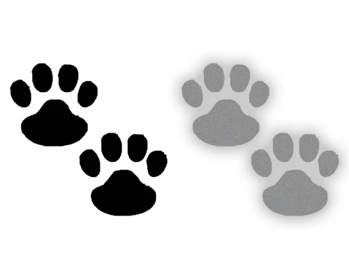 1_6.webp