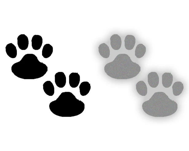 1_6.webp