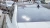 4_6.webp