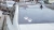 3_6.webp