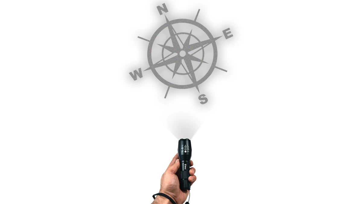 2_8.webp