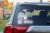 15518.webp