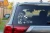 15513.webp