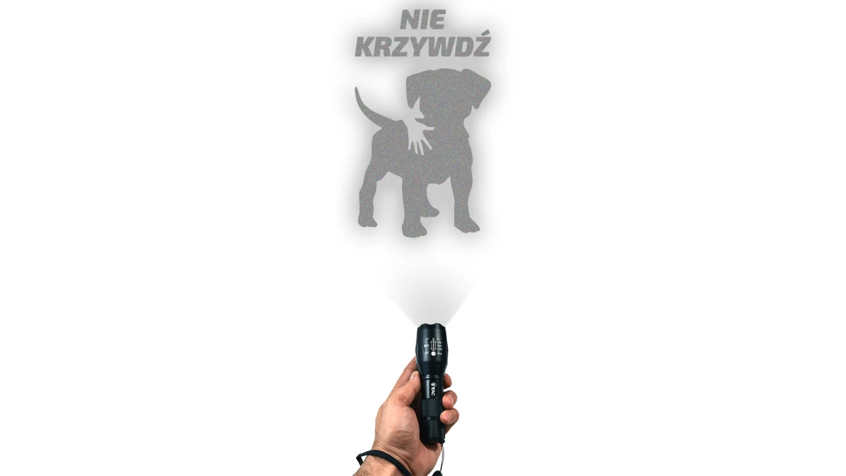 2_3.webp