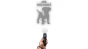 2_3.webp