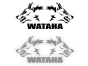 15491.webp