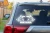 15494.webp