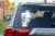 15474.webp