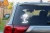 15470.webp