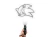 15464.webp