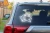 15466.webp