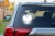 15462.webp