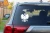 15461.webp