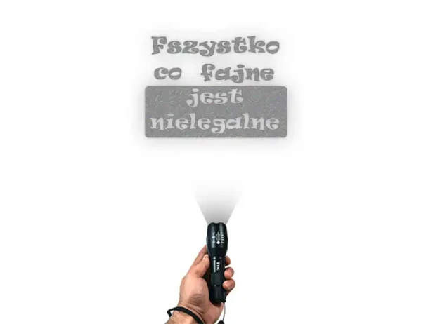 15452.webp