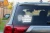 15446.webp