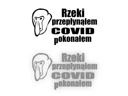 15443.webp