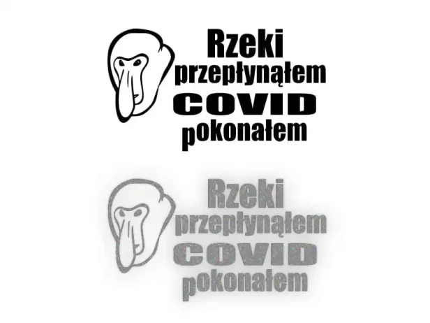 15443.webp