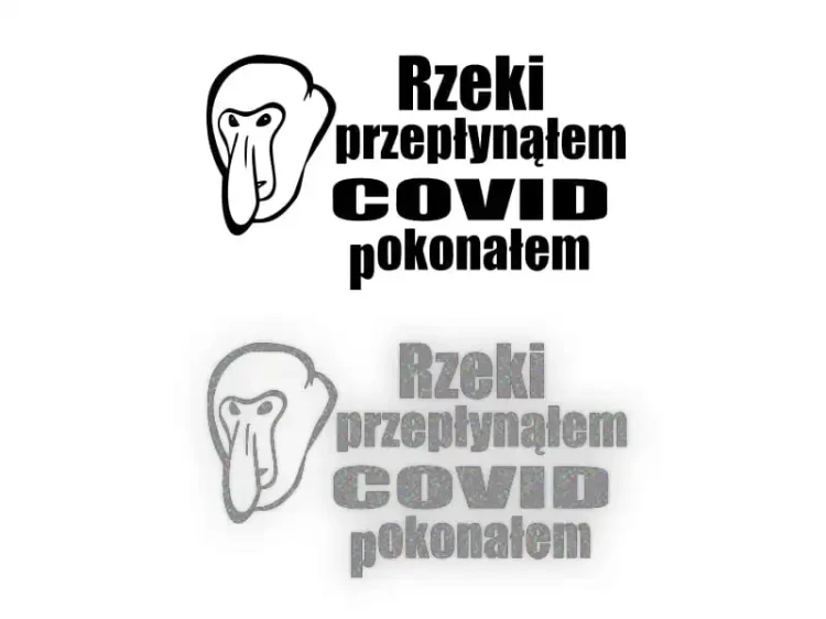 15443.webp