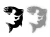 15431.webp