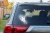 15426.webp