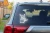 15418.webp