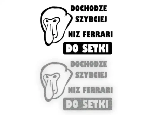15391.webp