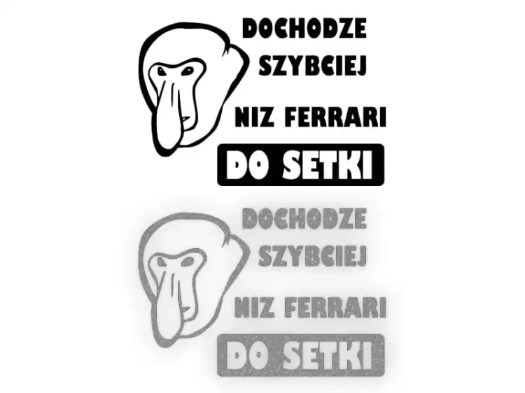 15391.webp