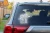 15386.webp