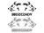 15379.webp