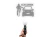15368.webp