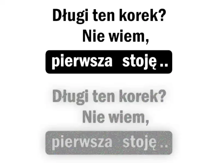 15355.webp
