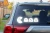 15322.webp