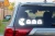 15318.webp
