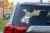 15314.webp