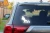 15306.webp