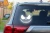 15298.webp