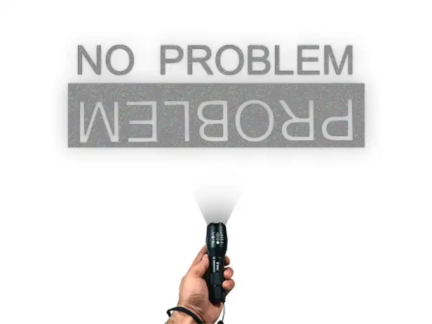 15292.webp