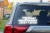 15254.webp