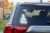 15218.webp
