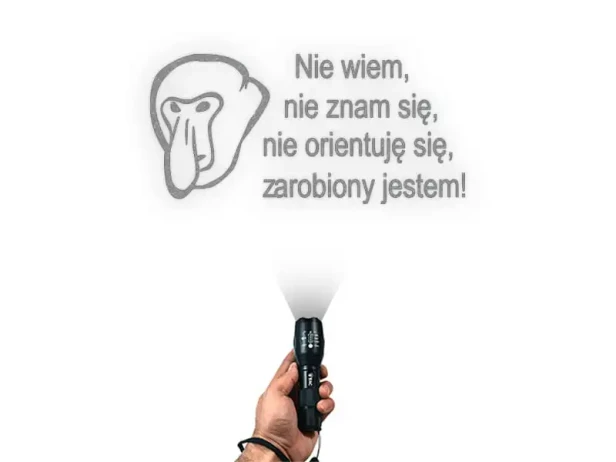 15200.webp