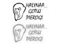 15187.webp