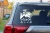 14764.webp