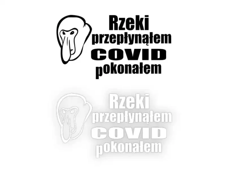 14731.webp