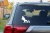 14662.webp