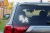 14023.webp