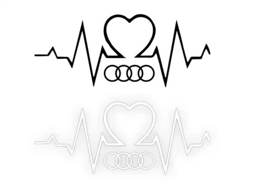 13997.webp