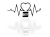 13979.webp