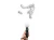 12973.webp