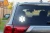 13023.webp