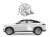 13544.webp